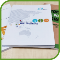 Seamless and Cost-effective Eco Technical Print Solutions