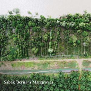The Tree Planting Sites by Global Environmental Centre (GEC)_3