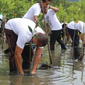The Tree Planting Sites by Malaysia Nature Society (MNS)_3